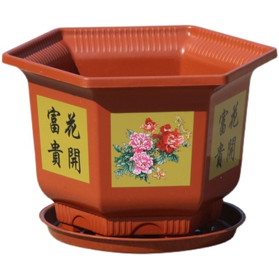 六角形花盆塑料结实透气漂亮送托