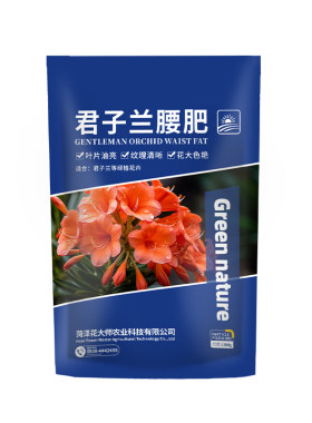 君子兰腐熟腰肥促开花爆根营养肥