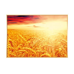黄灿灿小麦田野装饰画秋天丰收风景晶瓷画餐厅铝合金框单幅横向画