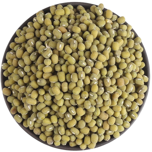 当季新毛绿豆杂粮绿豆食用苏北农家自种老品种笨绿豆绿豆汤原材料