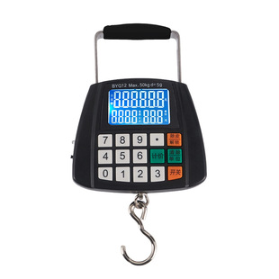 带语音自动计价手提电子秤充电弹簧秤小型家用便携式高精度迷你秤