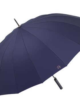 天堂伞16骨双人纯色长柄男士雨伞