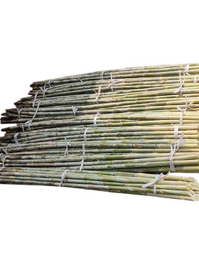 新鲜竹蔗5斤现砍现发广东青皮甘蔗榨汁清热下火茅根马蹄煲汤非黑