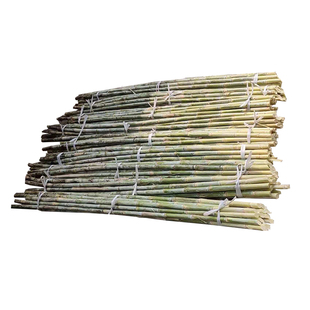 新鲜竹蔗5斤现砍现发广东青皮甘蔗榨汁清热下火茅根马蹄煲汤非黑