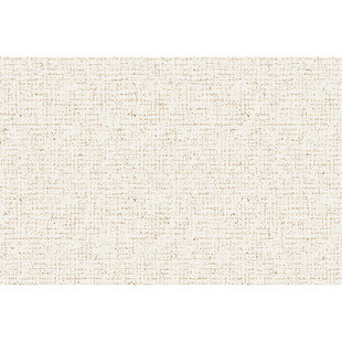 可机洗地毯客厅2026新款奶油风双层可拆洗高级原木风卧室沙发地垫