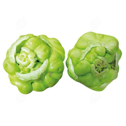 北方榨菜种子种籽四川特大光头菜芥菜四季蔬菜种籽孑芥菜种籽种