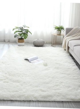 Plush Carpet Living Room BedroomE Fluffy Rug Floor Mat 地毯1