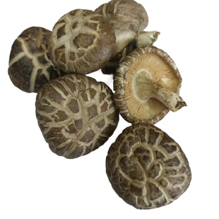 粤北韶关特产农家干货蘑菇花菇冬菇菌菇类散装食用农产品