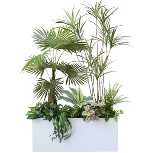 大型花箱植物隔断造景摆件仿真龟背散尾葵绿植树遮挡仿生盆栽景