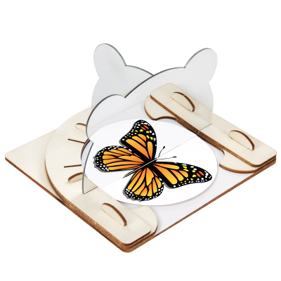 科趣物理diy光的反射镜面成像