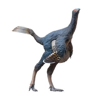 PNSO尾羽龙俊朗恐龙大王成长陪伴模型93