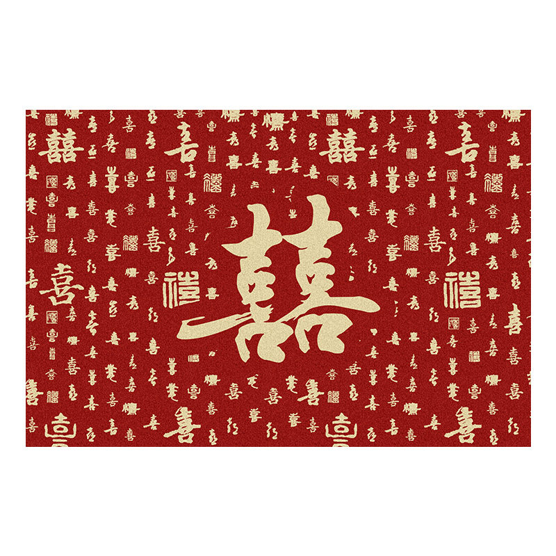 入户门地垫玄关垫防滑耐脏易打理