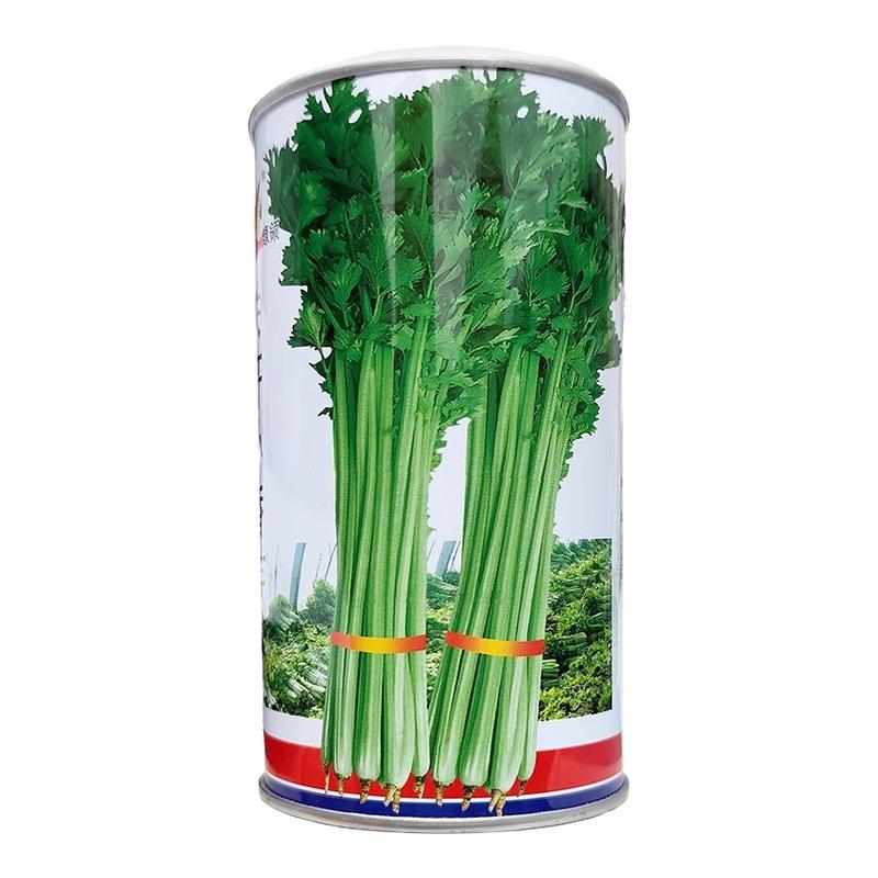 铁杆小香芹种籽孑清香小香蔬菜籽