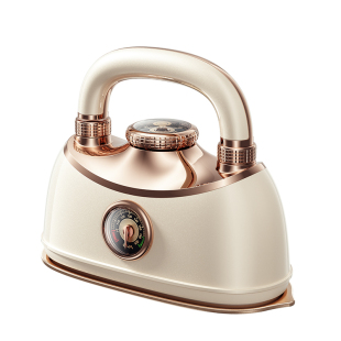 OJA手持熨烫机烫衣服挂烫机家用小型2026新款大蒸汽电熨斗便携