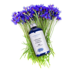 法国LE矢车菊纯露 舒缓补水修护 收敛毛孔 舒敏 天然蒸馏原装正品