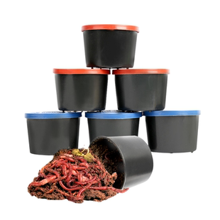 牛粪红蚯蚓活饵鲜活鱼饵红虫野钓盒装蚯蚓鲫鱼鲤鱼食湖库饵料小药