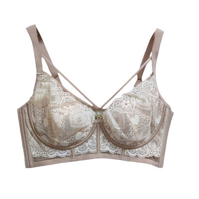 黛思侬蕾丝超薄软钢圈聚拢文胸女