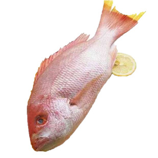 真鲷鱼深海刺身-品质日料刺身整条加工包切片保净肉送鱼头