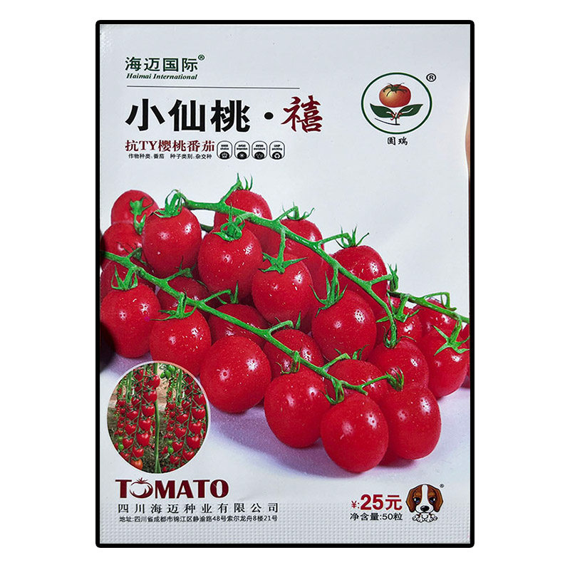 小仙桃禧红圣女果樱桃番茄菜种子