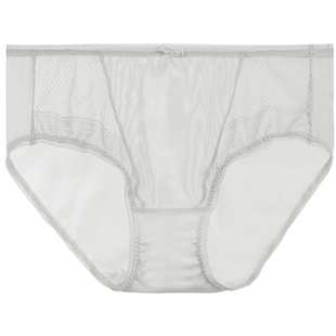 【第二件0元】安莉芳旗下E-BRA网纱性感低腰三角裤女内裤KP00048