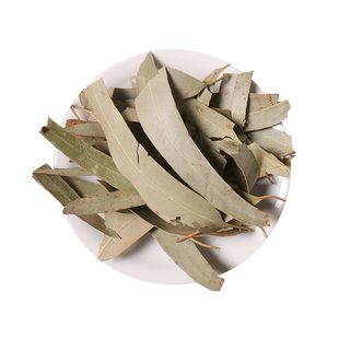 桉树叶500g中草药小桉树大叶中药材按树叶子干尤加利树叶桉叶安叶