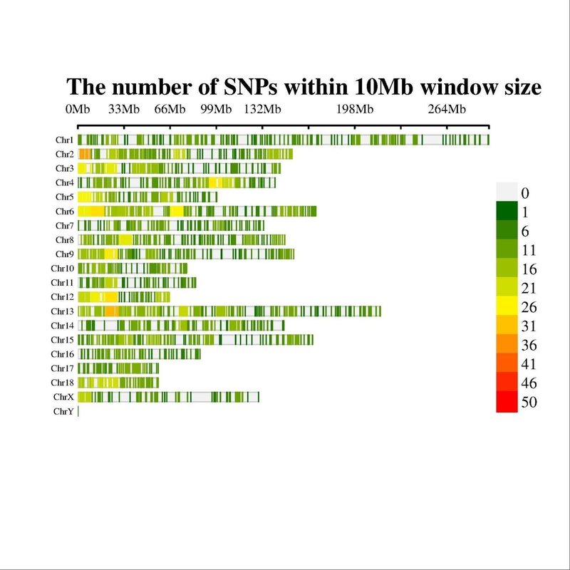 生信作图GO KEGG GSEA功能注释通路富集生信分析气泡柱状曲线图