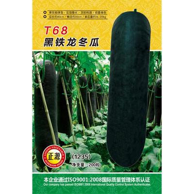 蔬菜广东黑皮冬瓜种子
