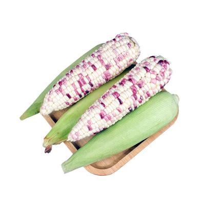 精选花糯玉米新鲜现摘带皮生的软糯香爆浆甜玉米棒子苞谷当季