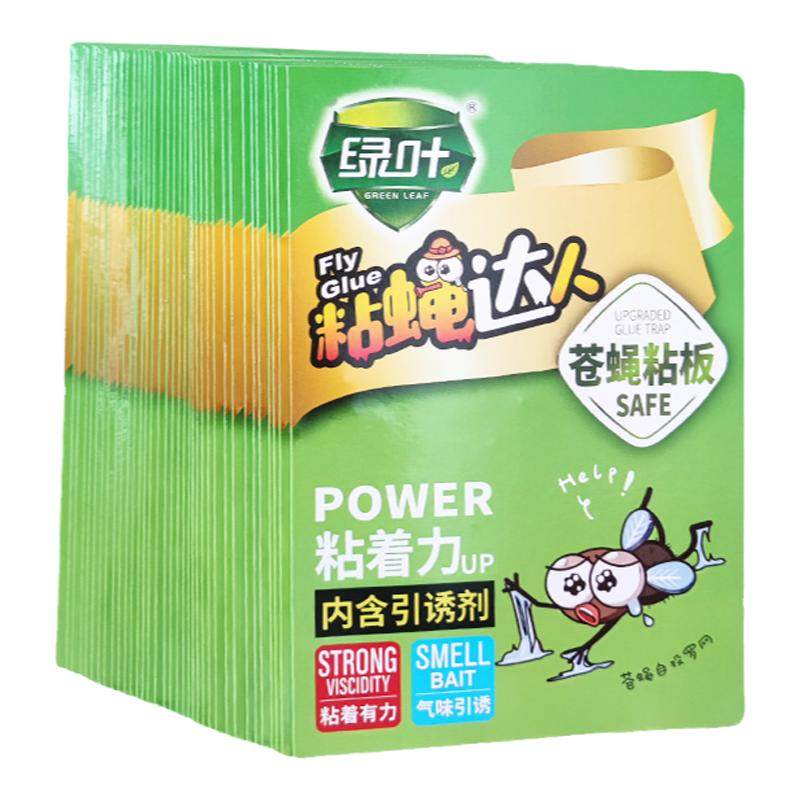 家用粘苍蝇纸板物理捕捉绿叶