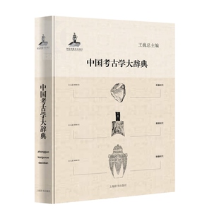中国考古学大辞典 王巍总主编 文物考古 哲学社会科学 正版图书籍 上海辞书 世纪出版