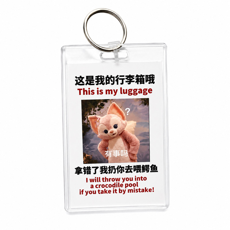 迪士尼周边防丢标识牌