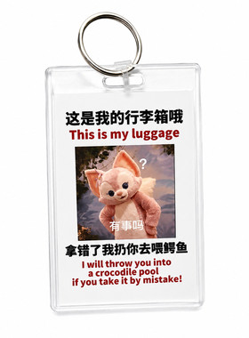 迪士尼周边防丢标识牌