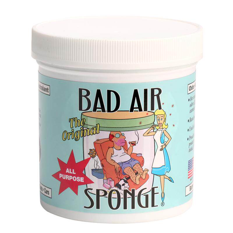 美国Bad Air 甲醛清除剂 空气净化剂去除异味神器新房车室内家用