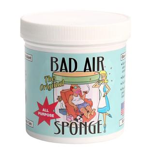 美国Bad Air 甲醛清除剂 空气净化剂去除异味神器新房车室内家用