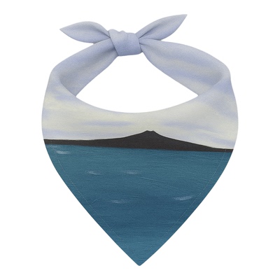 DGDG艺术家联名系列口水巾