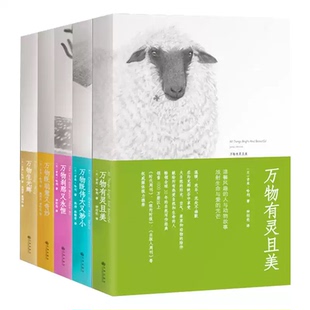 万物有灵且美系列小说套装5册 万物生光辉万物既伟大又渺小万物刹那又永恒万物既聪慧又奇妙吉米哈利外国小说书散文随笔畅销书籍