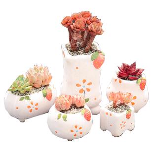 句号菱形马卡龙多肉花盆陶瓷特价清仓透气小号控型可爱创意简约