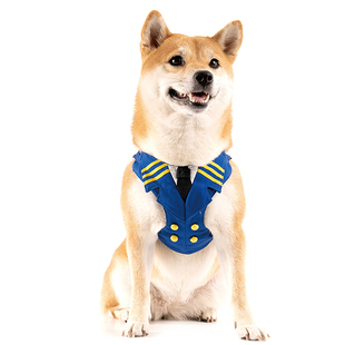 Blueport宠物遛狗绳狗狗泰迪柴犬胸背牵引雪纳瑞外出安全日本乐天