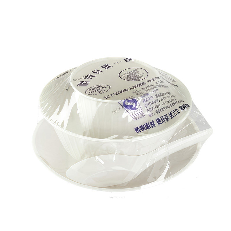 一次性碗筷食品级加厚耐高温家用一次性餐盒