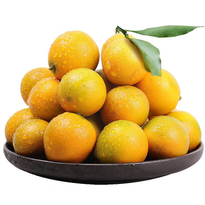 广西融安脆皮金桔当季现摘