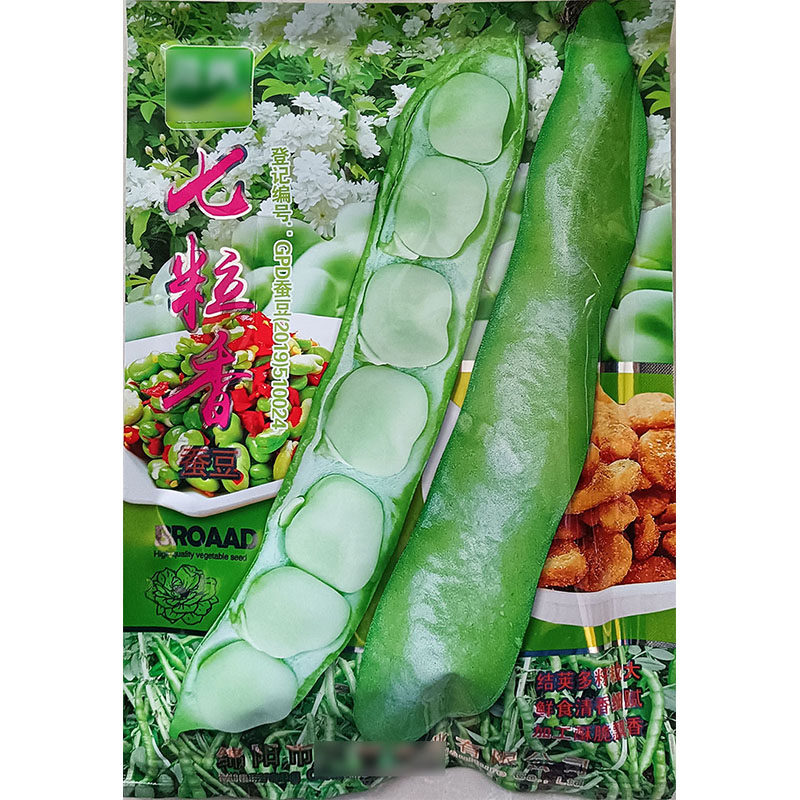 七粒香大蚕豆胡豆蔬菜种子孑籽