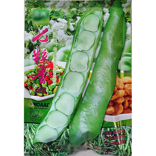 七粒香大蚕豆胡豆蔬菜种子孑籽南豆佛豆罗汉豆兰花豆坚豆大豆高产