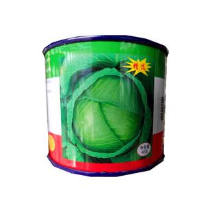 邢申京丰一号甘蓝种子40g平头洋白菜卷心菜蔬菜包包菜大头菜种籽