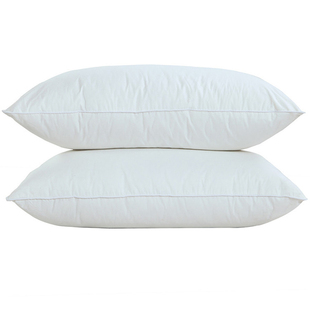 枕芯枕头单人学生宿舍寝室学校大学一支双人旅店宾馆一对纯白色