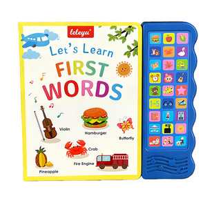 English interactive touch Book外贸数字英文点读书单词点读画本