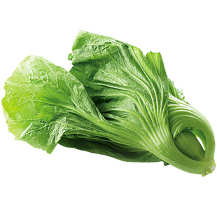 包心芥菜种籽大肉卷心芥菜种子水咸菜盖菜包四季播春秋季蔬菜种孑
