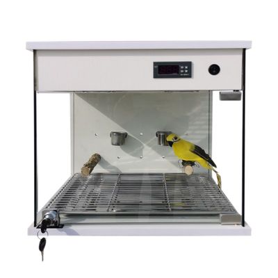 鹦鹉保温箱风暖加钢化玻璃免安装