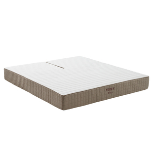 龙凤智家多功能一体式全自动可升降电动智能情侣震动按摩功能床垫