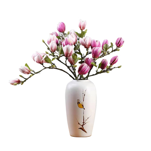 玉兰花水培植物室内好养鲜切干枝带花苞紫玉兰桌面鲜花卉盆栽绿植