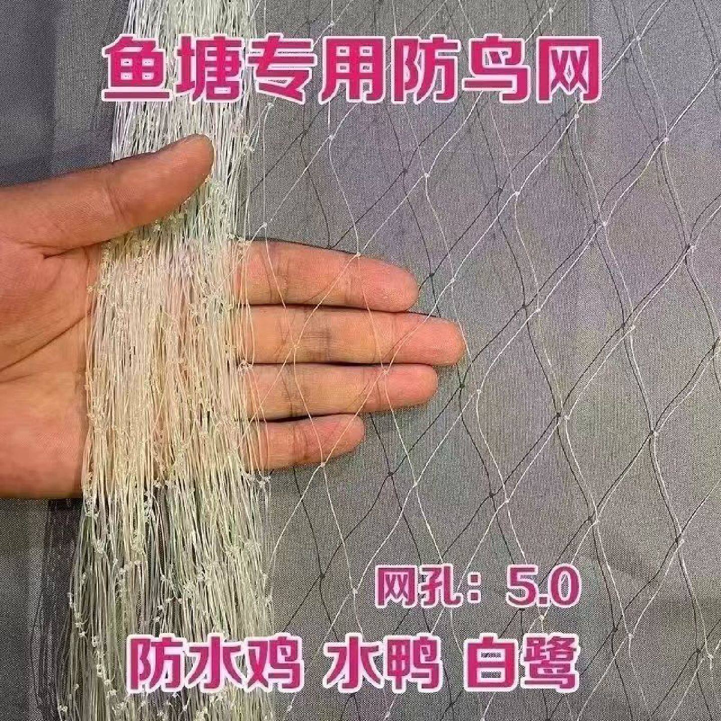 鱼塘专用大网孔防鸟网泥鳅鱼苗青蛙龙虾养殖防护网养殖天网